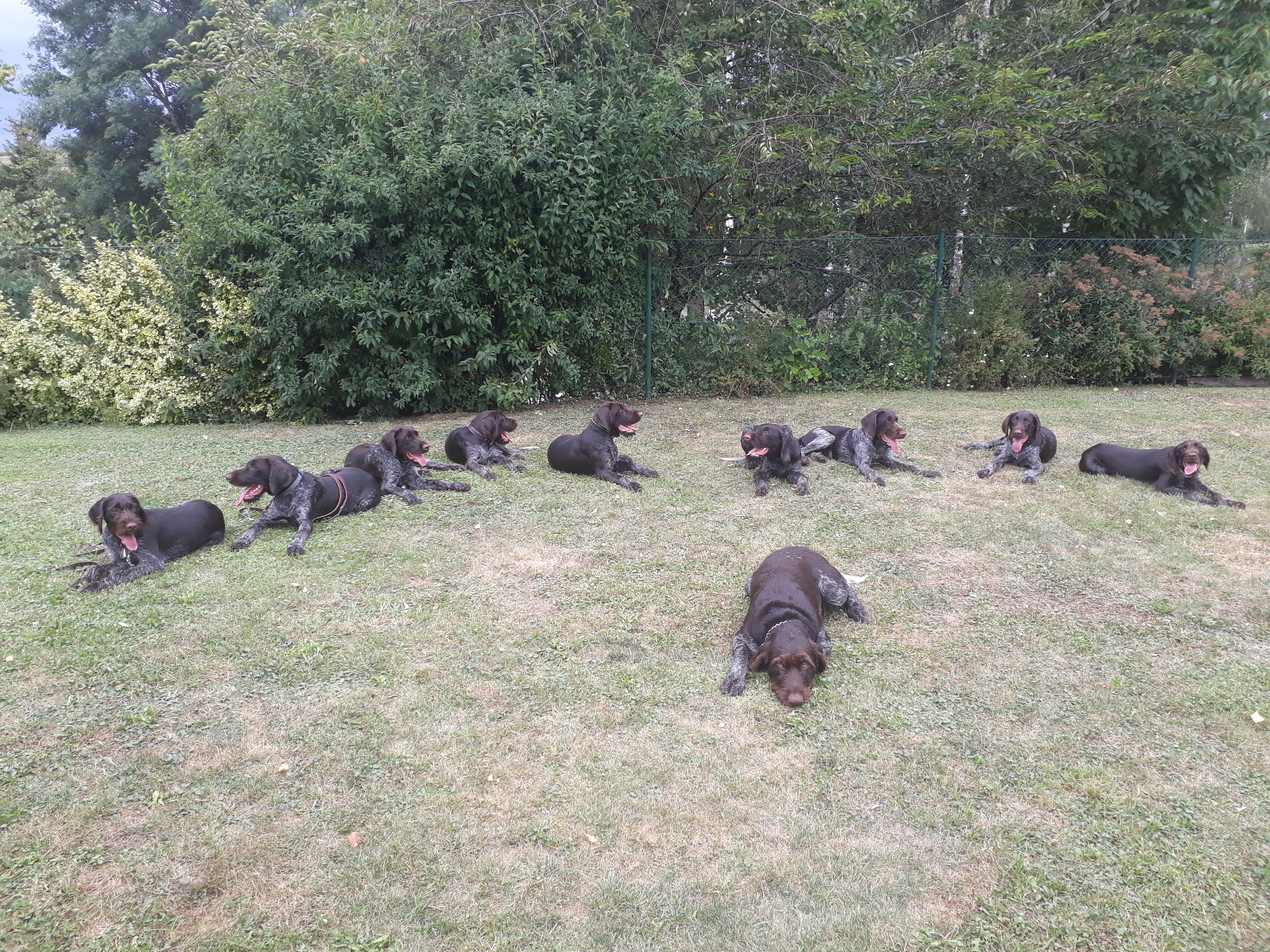 Aufeinandertreffen